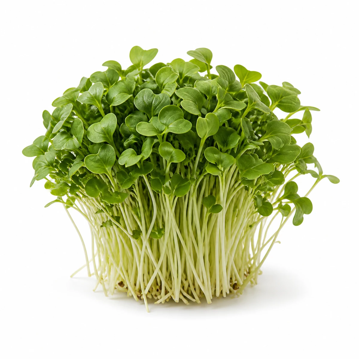 Редис Novagreen, 500 г