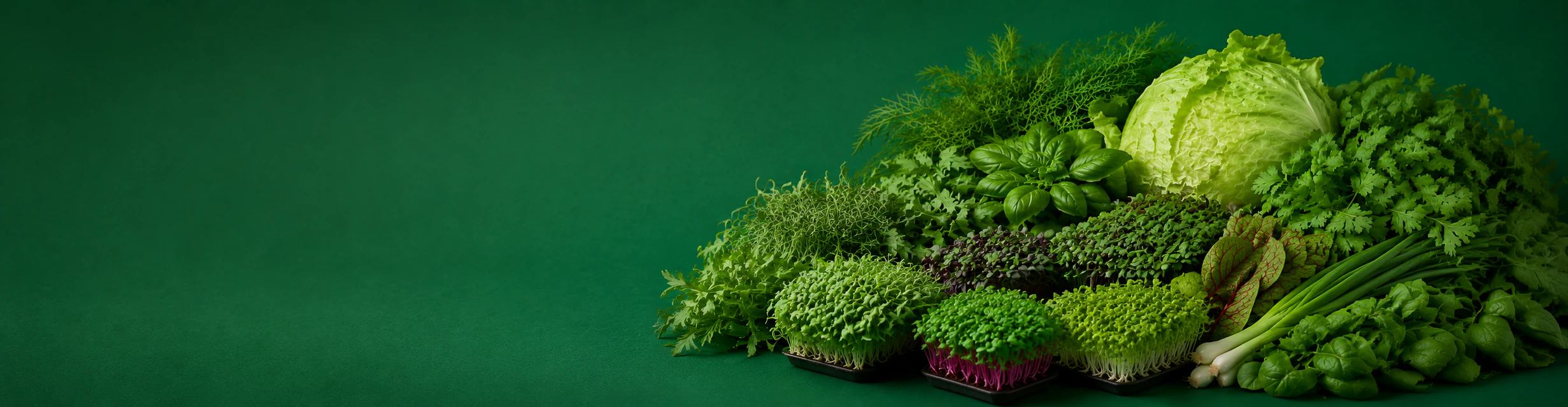Свежая зелень и микрозелень Novagreen
